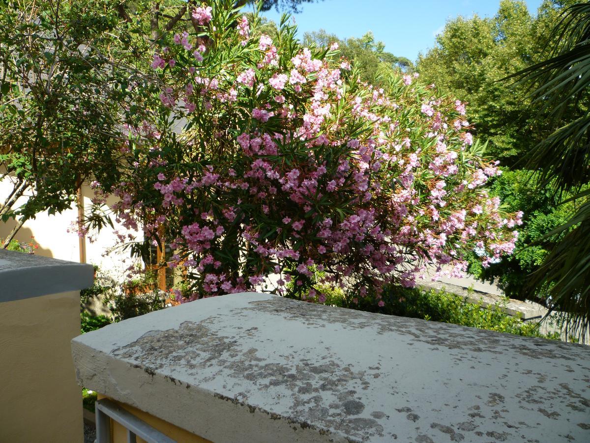 Villa Santa Margherita - B&B Cortona Ngoại thất bức ảnh